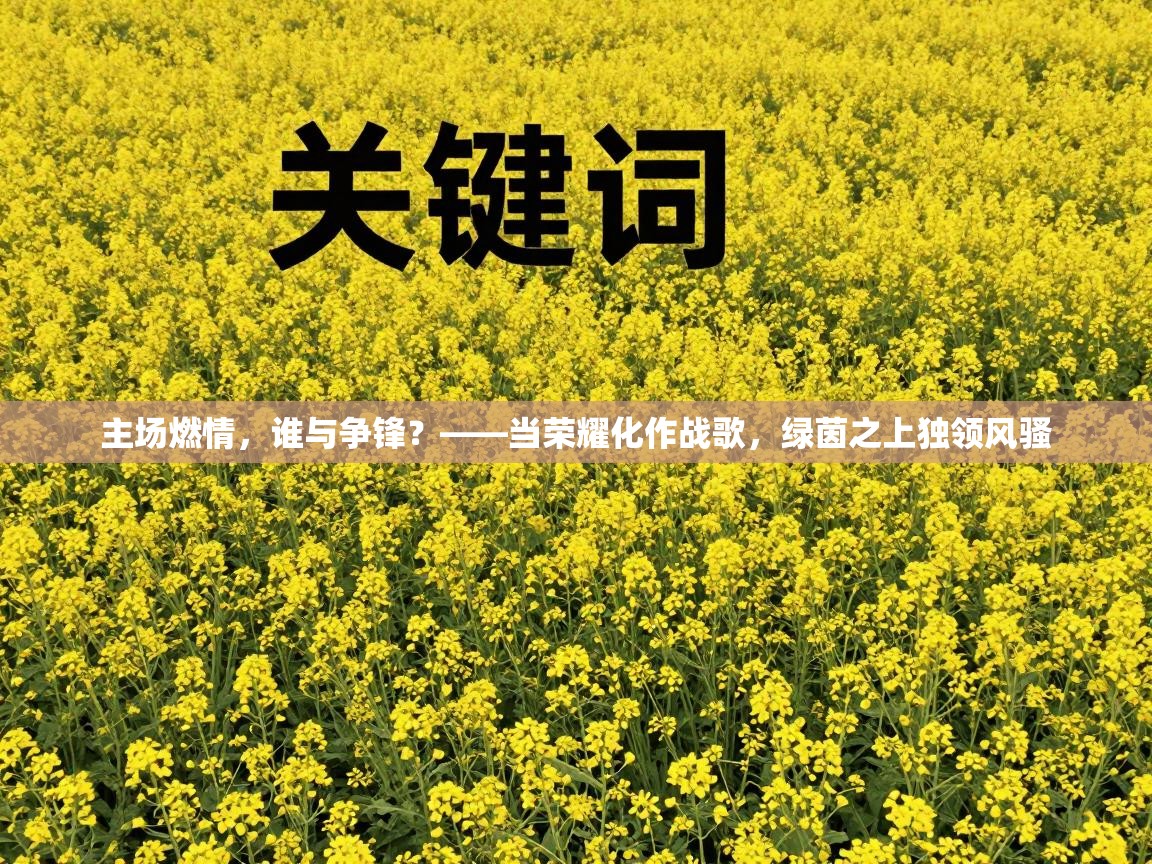 主场燃情,谁与争锋?——当荣耀化作战歌,绿茵之上独领风骚 第1张